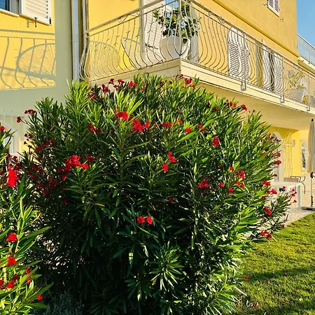 Cipressi,tignale Apartmán *